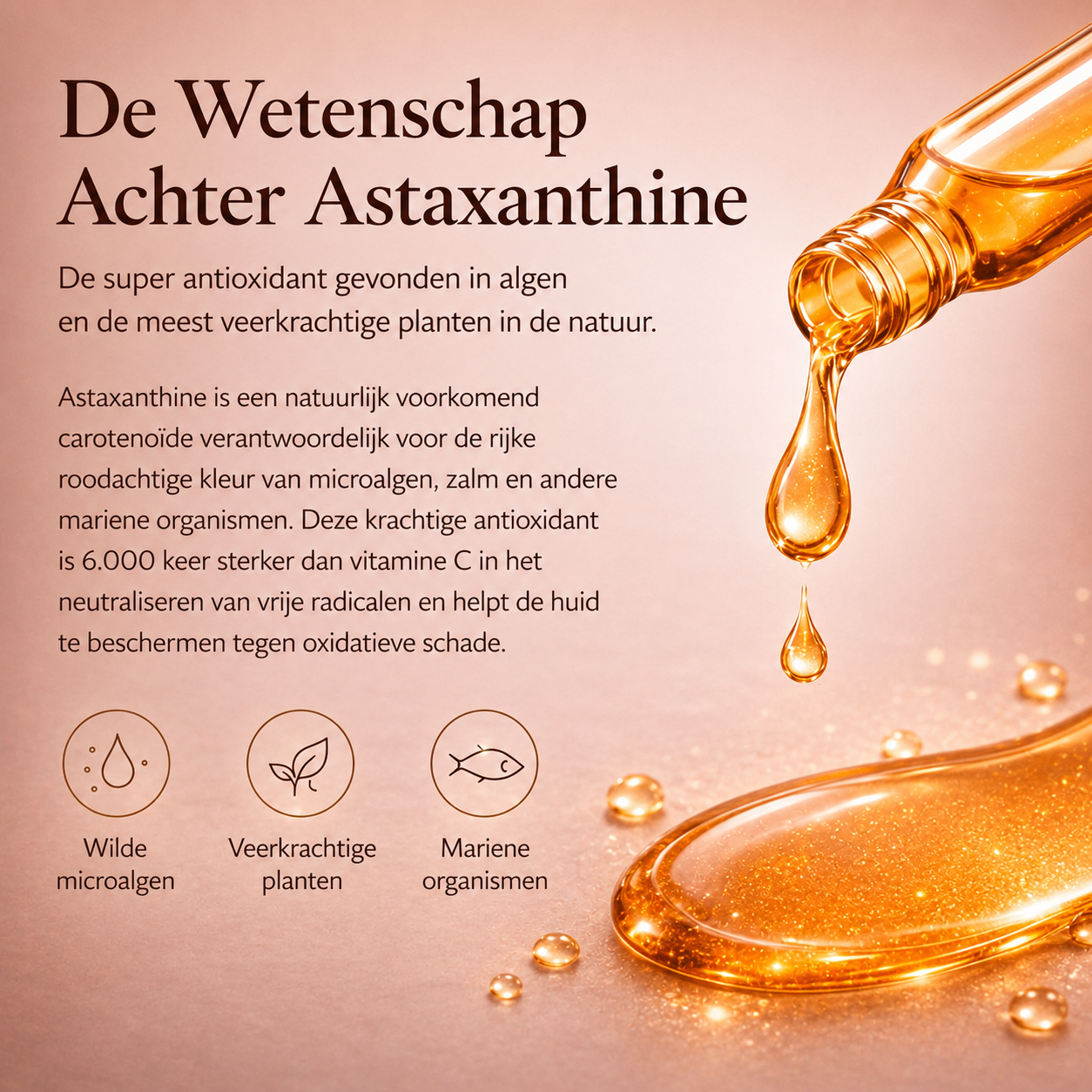 Astaxanthin Ampoule Serum – Anti-Aging & Glow Booster